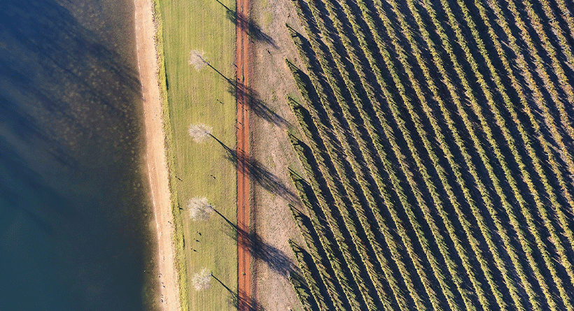 Fraser Gallop Estate